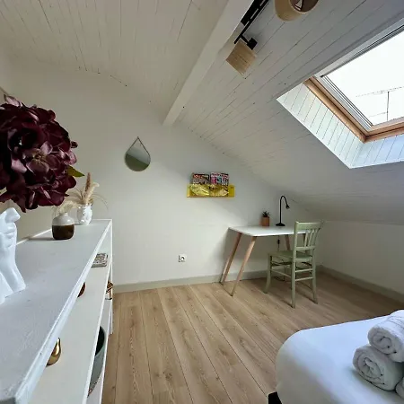 Le Boheme - Duplex - 2 A 4 Personnes - Proche Gare 南锡